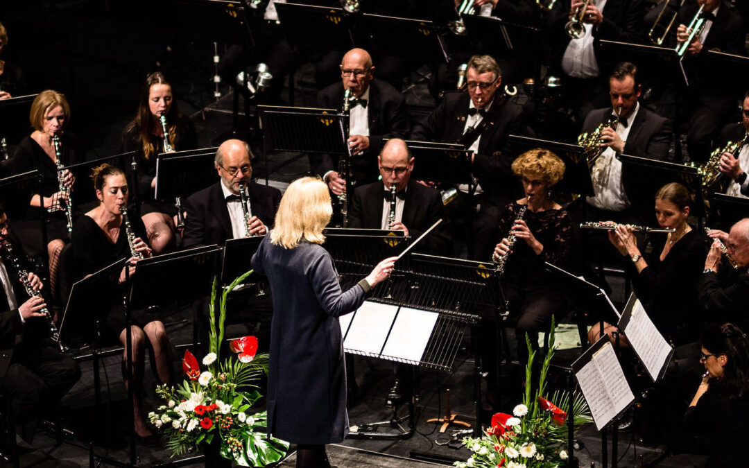 Maestro 073, de tweede editie komt eraan!